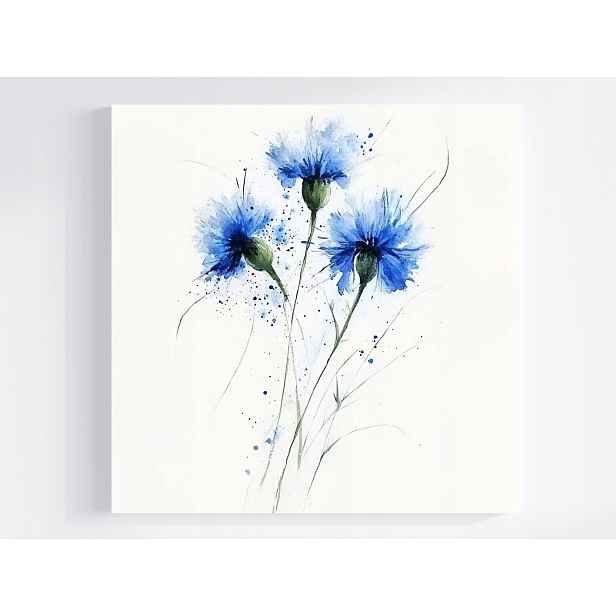 Obraz Na Plátně Canvas Akvarel Příroda Pole Květ Kukuřice Chrpa 50x50