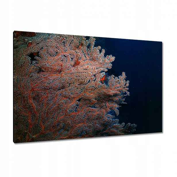 Obrazy 120x80 Modrý oceán s útesem