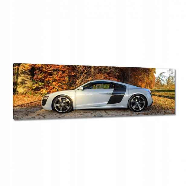 Obrazy 120x40 Podzimní Audi Auto