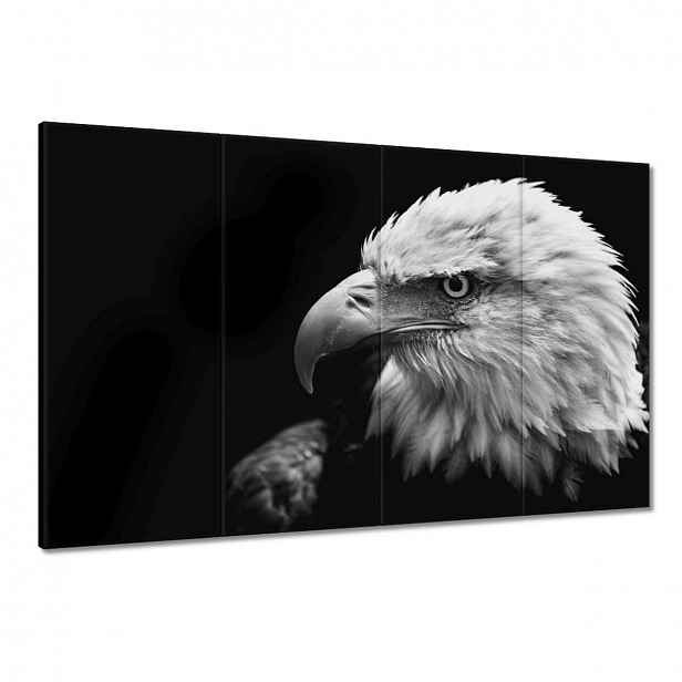 Obrazy 120x80 Modrý orl zvíře