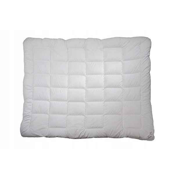 Celoroční přikrývka Inter-widex Classic 200x220