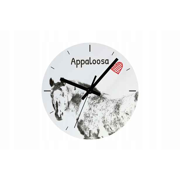 Kůň Appaloosa hodiny s koněm závěsné a stojící, personalizace fotografií