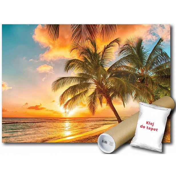 Fototapeta Západ Slunce 7A V4 254x184 F3393