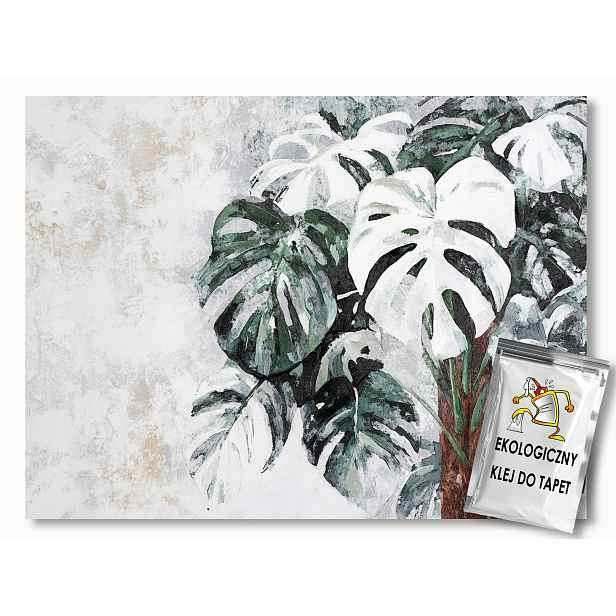 Fototapeta Flizelina Stěna Beton Rostlina Listy Monstera 254x184 130g
