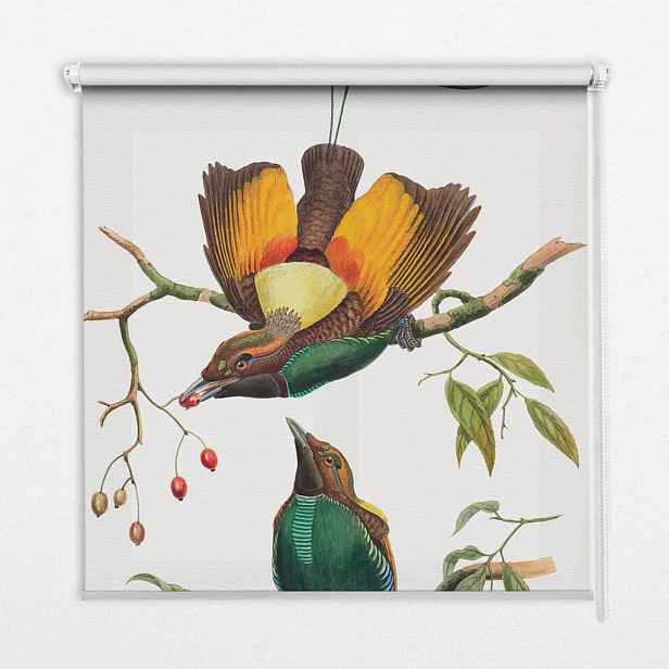 TULUP VNITŘNÍ roleta - okenní roleta - roleta - 70x140 cm - Ptáci na větvi