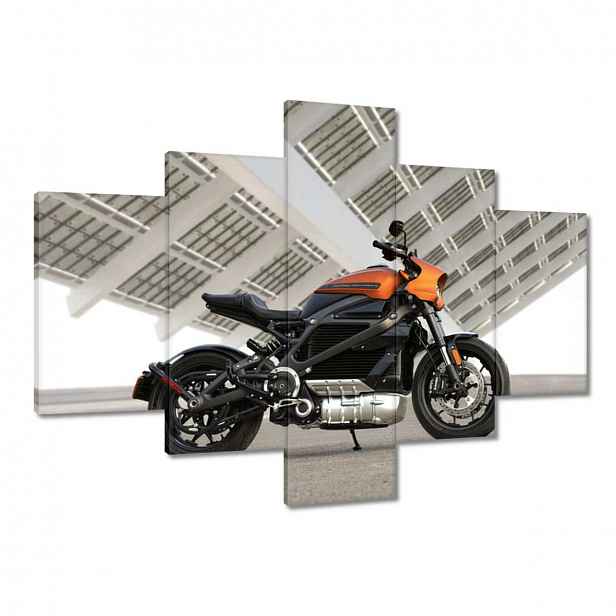 Obrazy 100x70 Harley Davidson Motocykl