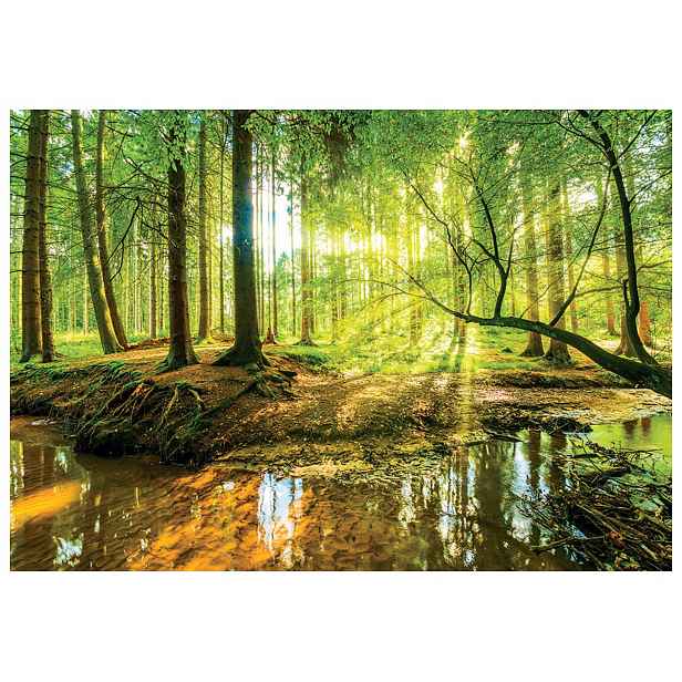 Fototapeta Lesní symfonie Potok Stromy Zeleň Světlo 200x140 lepidlo