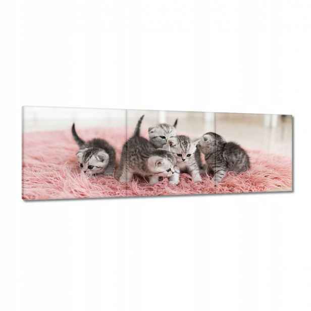 Obrazy 120x40 Pět malých koťátek