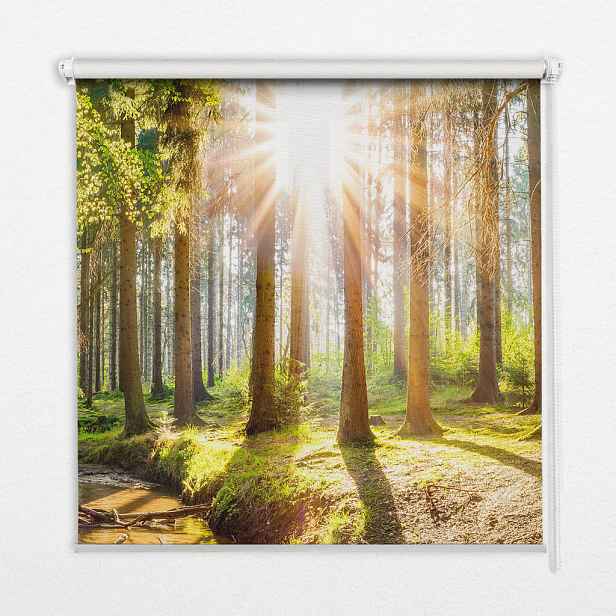 TULUP VNITŘNÍ roleta - okenní roleta - roleta - 70x140 cm - Slunce prorážející stromy
