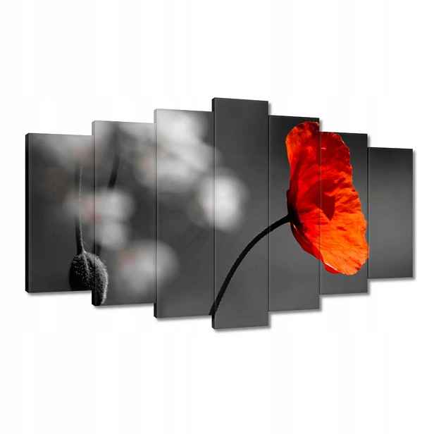 Obrazy 140x80 Rozkvetlý červený mák