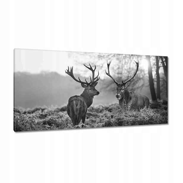 Obrazy 115x55 Černobílí jeleni