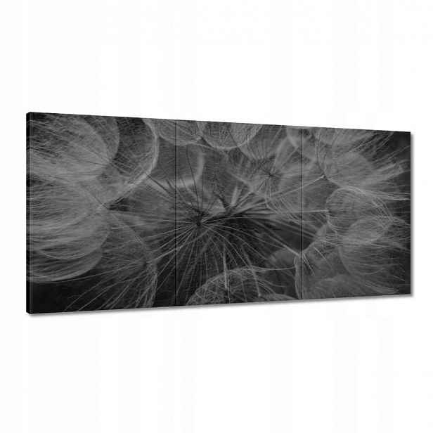 Obrazy 180x90 Pampeliška Květ Květiny