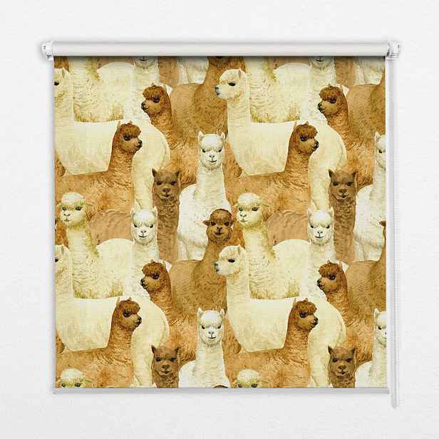 TULUP VNITŘNÍ roleta - okenní roleta - roleta - 70x140 cm - Stádo alpak
