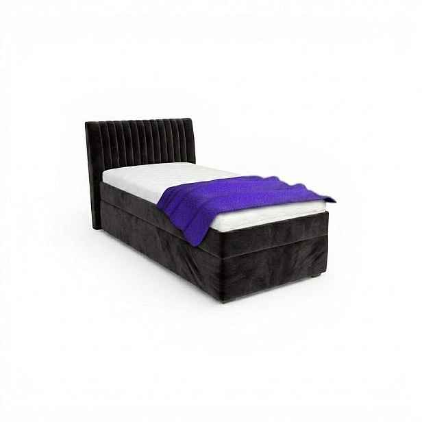 Kasvo postel LIANA 90 x 200 cm  Vogue 17