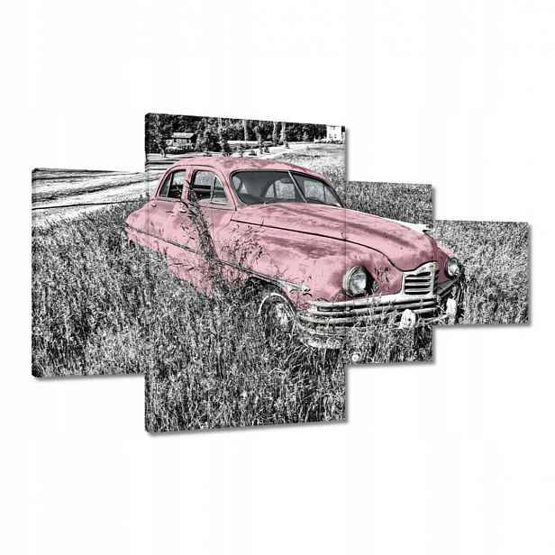 Obrazy 130x80 Růžová babička Historická
