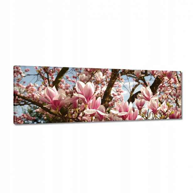 Obrazy 120x40 Magnolie Květiny Světle Modrá