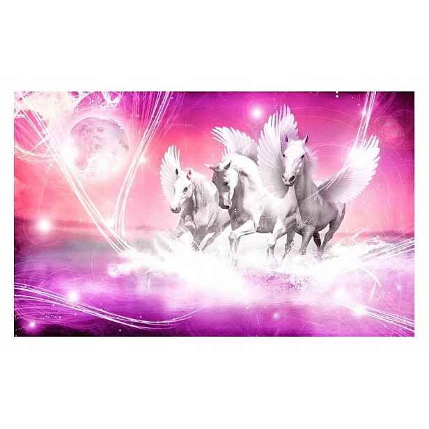 Fototapeta Koně Pegas 3D Jednorožci Galop 254x184