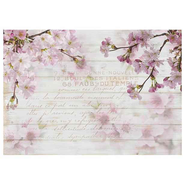 Fototapeta Kvetoucí flizelina Višeň Sakura Romantismus jara 312x219 lepidlo