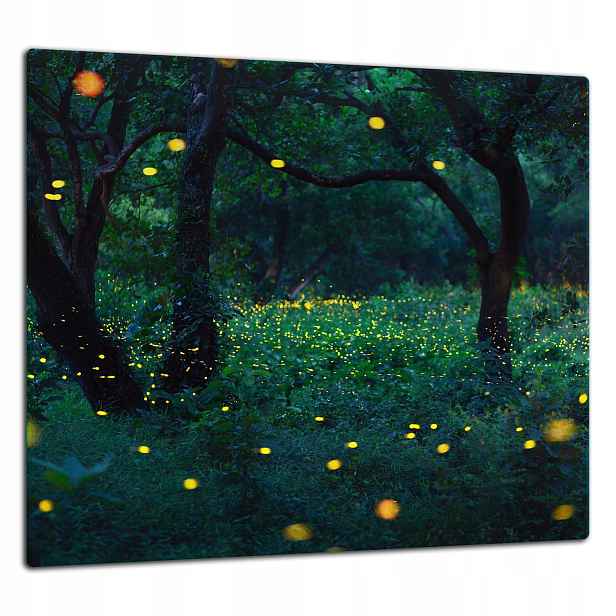 Skleněná Ochranná Deska Panel Lepidlo 65x60 Večer