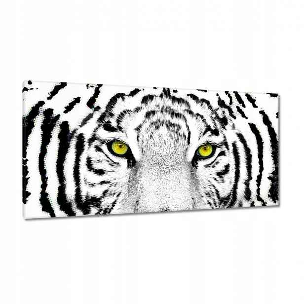 Obrazy 115x55 Hlava tygra