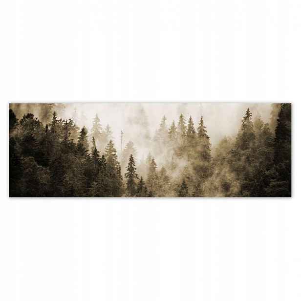 Fototapety 312x104 Krajina Sépie Hory Mlha