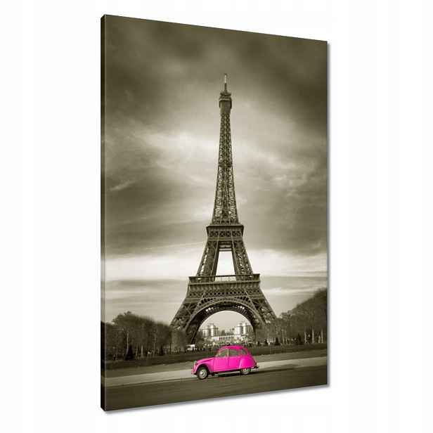 Obrazy 60x90 Růžový Citroen v Paříži