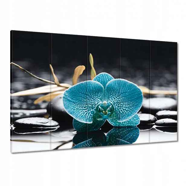 Obrazy 100x70 Tyrkysový orchidej Květina