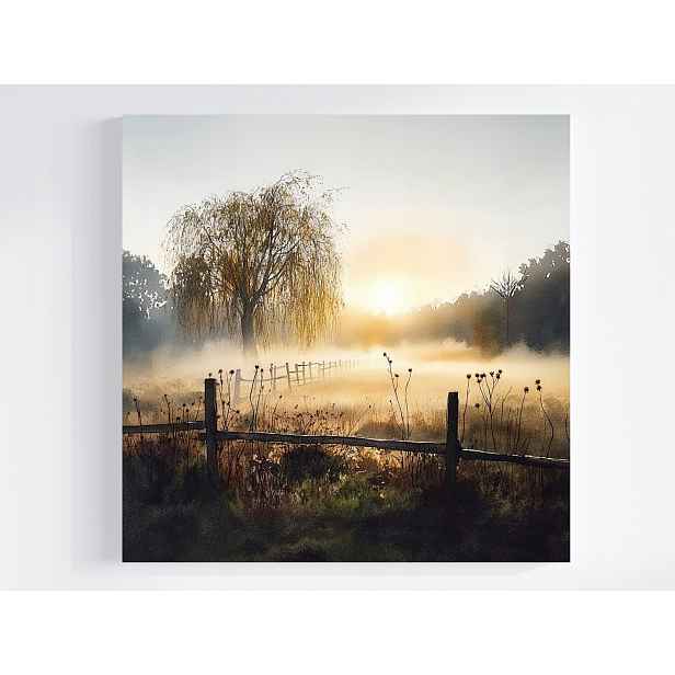 Obraz Na Plátně Canvas Krajina Venkov Louka Vrba Slunce 50x50