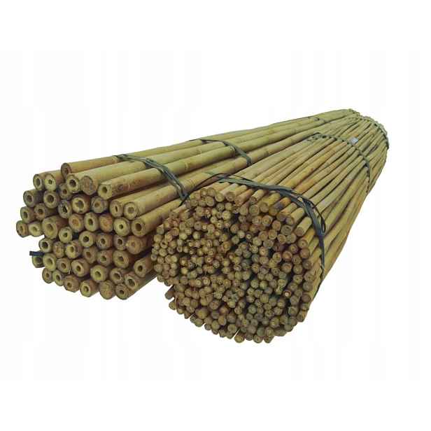 Bambusové tyčky přírodní podpěry pro rajčata 120 cm 6-8 mm 100 ks