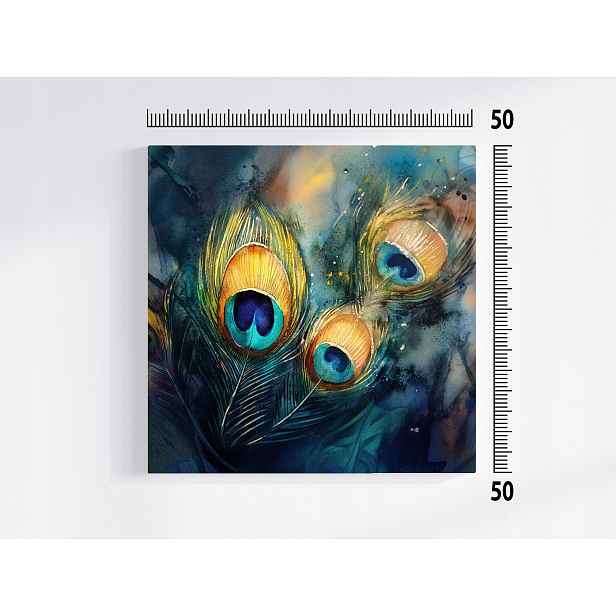Obraz Na Plátně Canvas Příroda Dekorace Peří Pták Paw 50x50