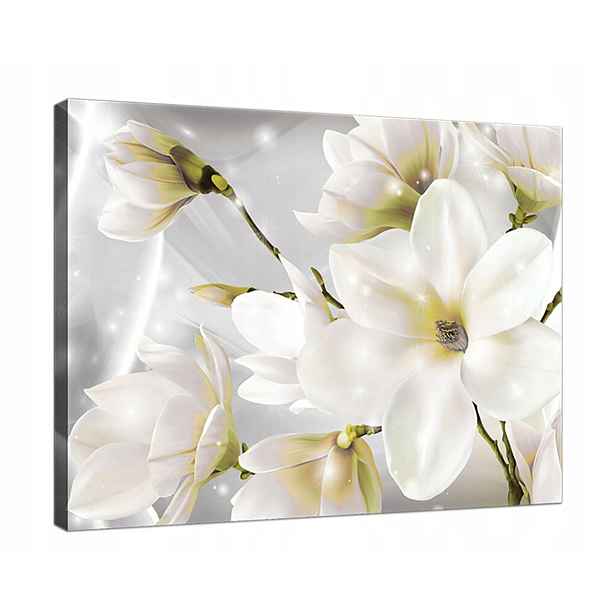 Obraz Na Plátně Plátno 80x60 Bílé Magnolie