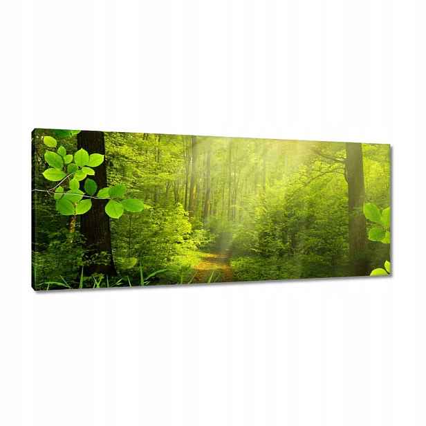 Obrazy 100x40 Kouzelný les Krajina