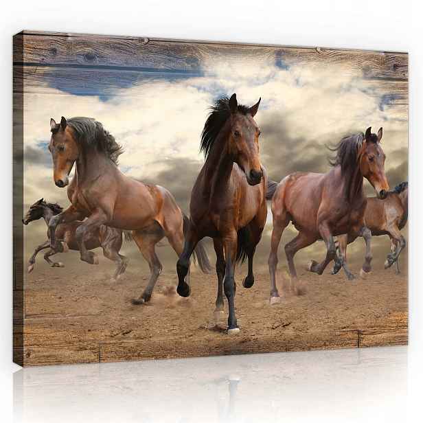 Obraz 100x75 Galop Svobody Hnědý vítr ve skandinávském obývacím pokoji
