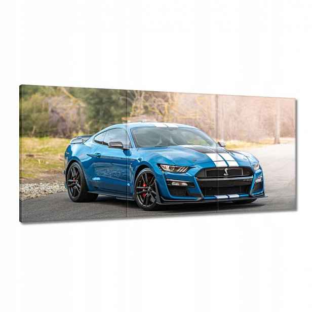 Obrazy 210x100 Modrý Ford Mustang
