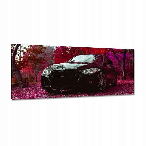 Obrazy 100x40 Černé Bmw Podzim