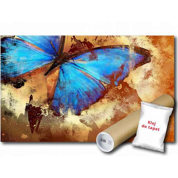Fototapeta Modrý Motýl 15B F3XL 416x254 F192