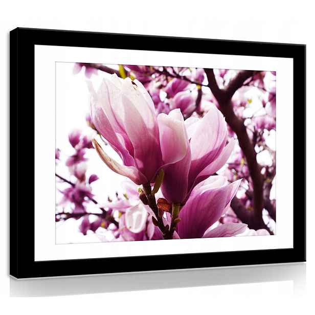 Obraz Na Plátně Plátno 100x75 Květy Magnolie