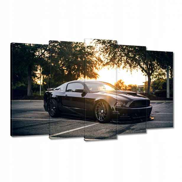Obrazy 100x60 Černá bestie Mustang