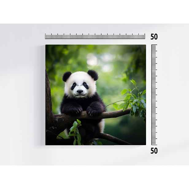 Obraz Na Plátně Canvas Příroda Zvířata Medvídek Panda Medvídek 50x50
