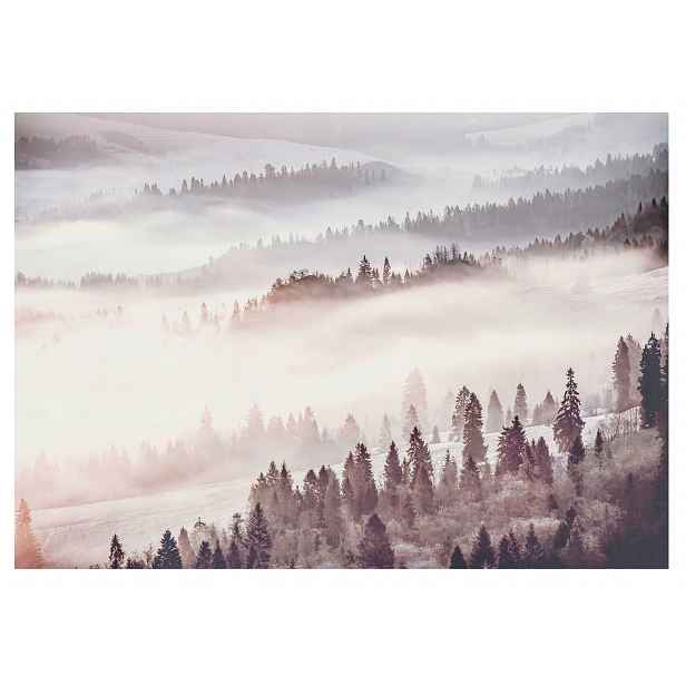 Fototapeta Les V Mlze 3D Hory Ložnice 254x184