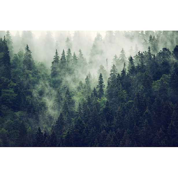 Magnetická maskovací podložka na radiátor Les v mlze 60x100 cm