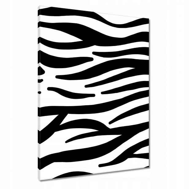 Obrazy 60x80 Zebra Pruhy