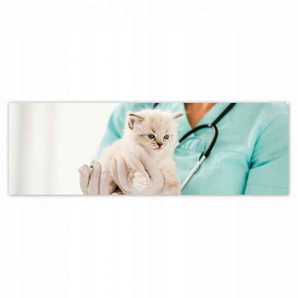 Plakáty 200x66 Kočička veterinář klinika