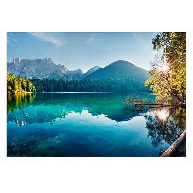 Fototapeta Hory Krajina Les do ložnice 254x184