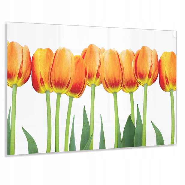 Ochranný Panel 90x70cm 4mm Lacobel Tvrzený Dekorativní Do Kuchyně