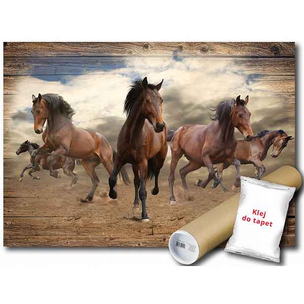 Fototapeta Konie Drewno 12B V8 368x254 F10083