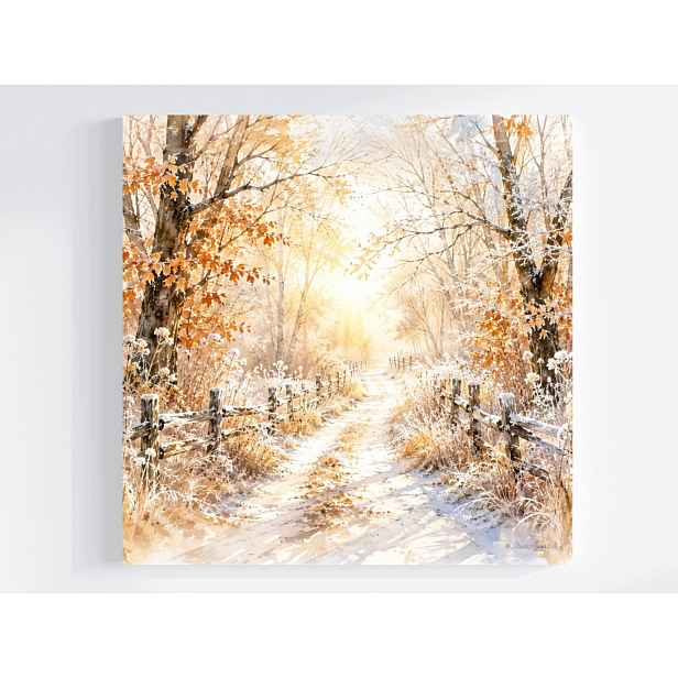 Obraz Na Plátně Canvas Les Stromy Stezka Cesta Zima Mráz 50x50
