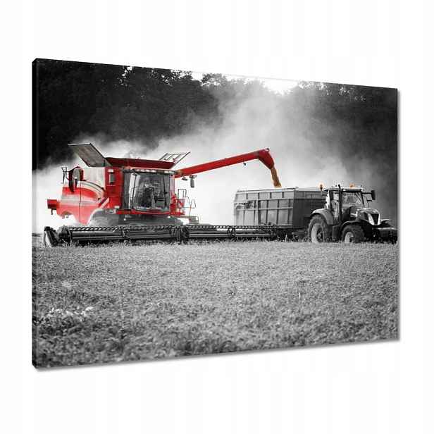 Obrazy 80x60 Červený kombajn Žněva