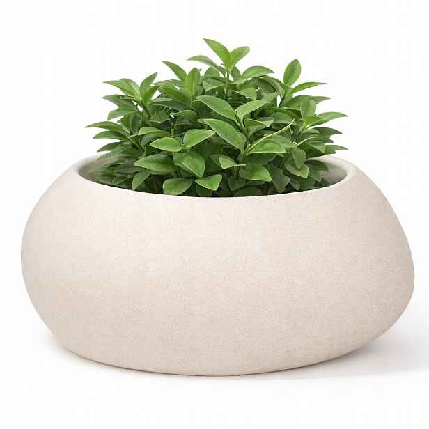 Květináč Avina 50X25 CM Krémová Písková Japandi Do Obývacího Pokoje Na Terasu