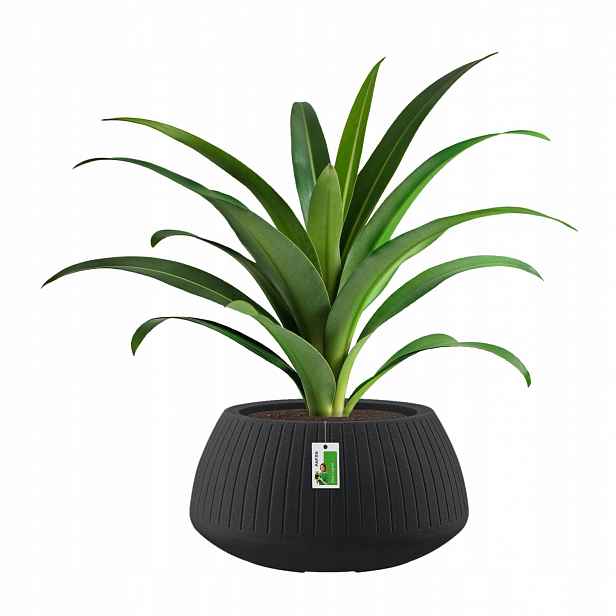 Květináč kulatý premium Ethick Coro Bowl TCB40 uhlíkový s odtokem